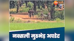 छत्तीसगढ़ नक्सली मुठभेड़:IG ने की 31 नक्सलियों के शव बरामद की पुष्टि, शाम को होगी PC