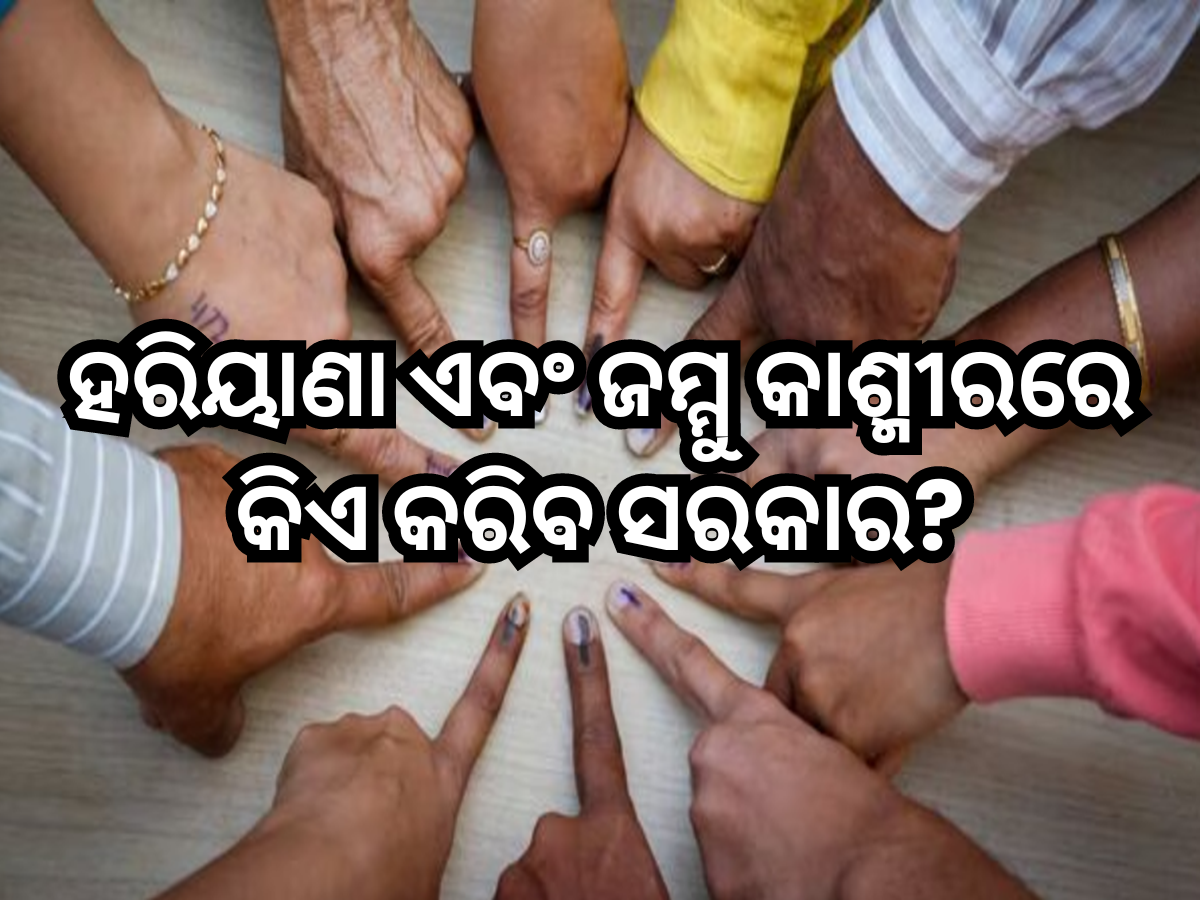 Exit Poll Results 2024 Exit Poll Results 2024