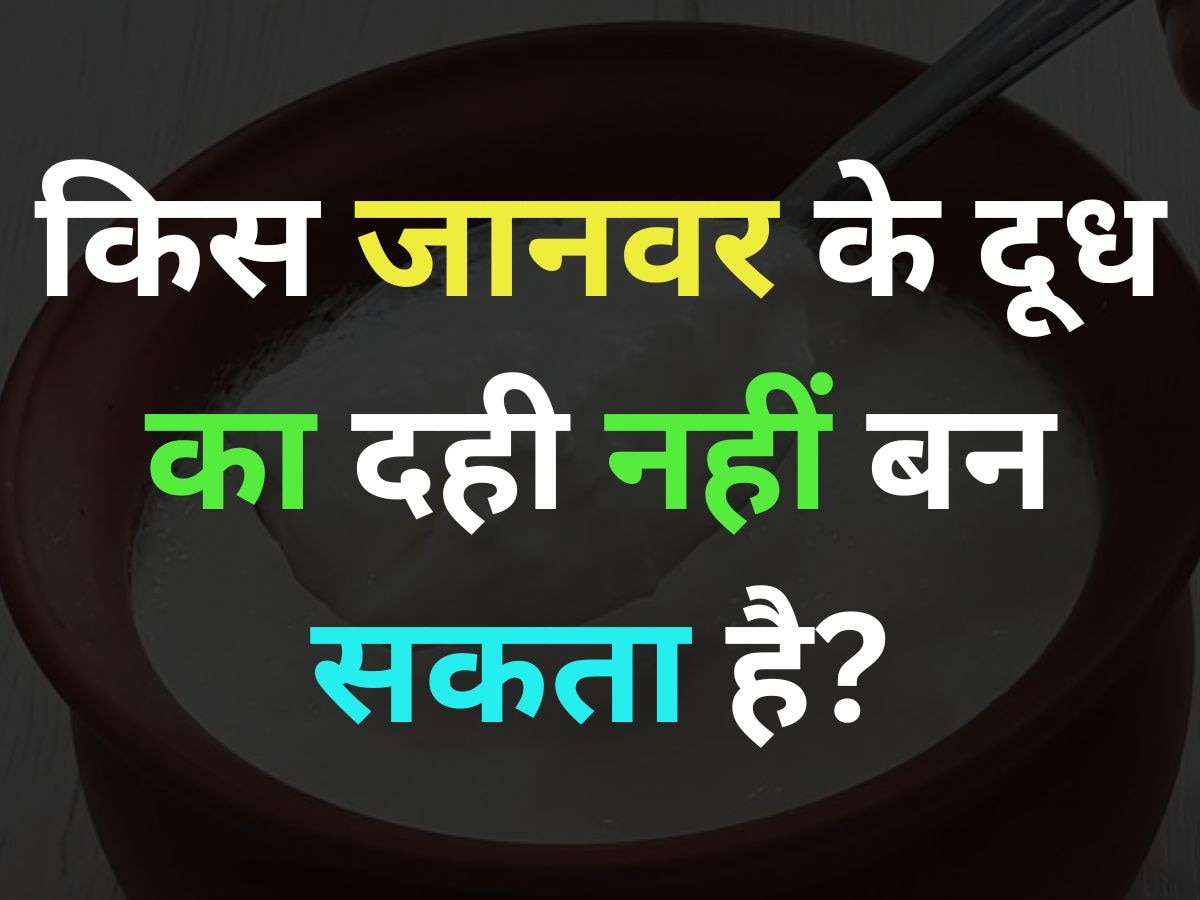 GK Quiz: किस जानवर के दूध का दही नहीं बन सकता है?