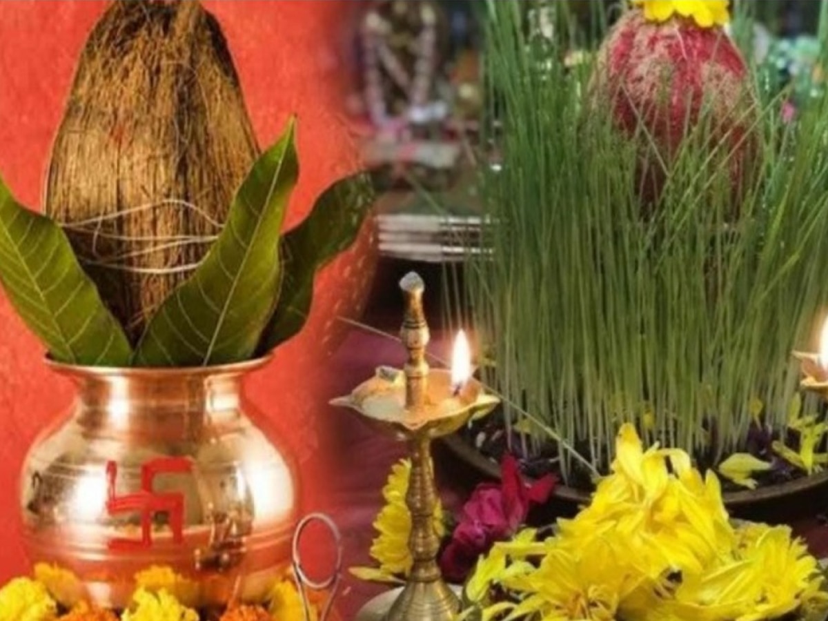 Which plant to grow in Navratri | Why do we grow khetri in Navratri ...