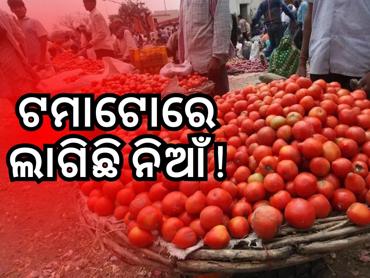 Tomato Price Hike: ଟମାଟୋ ଦର ୧୦୦ ପାର୍, କେବେ ହେବ ଶସ୍ତା ?