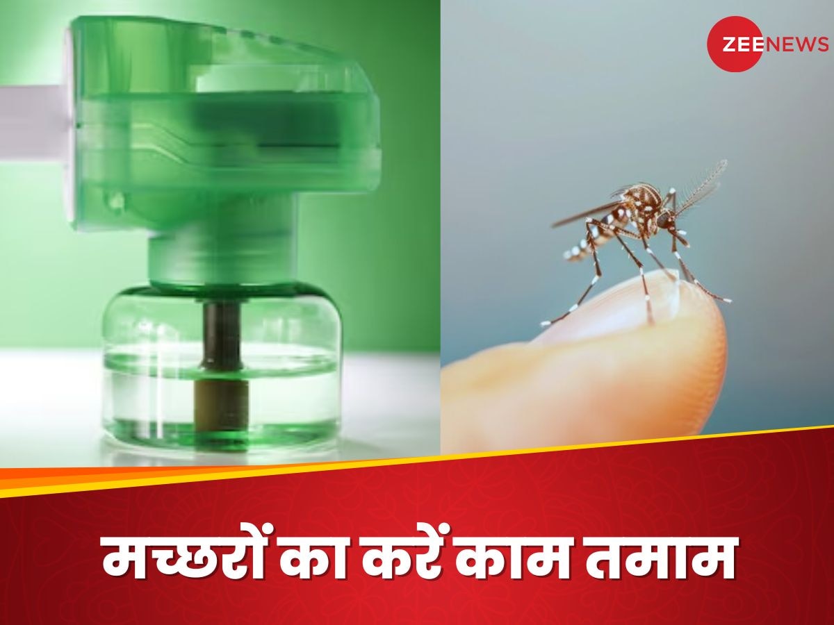 Mosquito Refill: सिर्फ 20 रुपये में घर बैठे तैयार करें मच्छर भगाने वाली रिफिल, कम होगा डेंगू-मलेरिया का खतरा