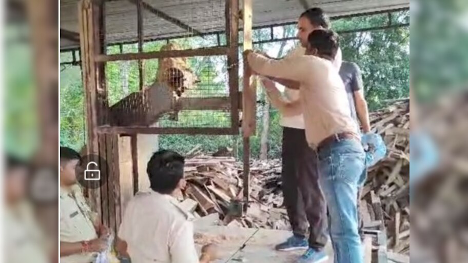 Jhalawar News: अवैध रूप से संचालित आधा दर्जन आरा मशीने सीज, वन विभाग ने की कार्यवाही