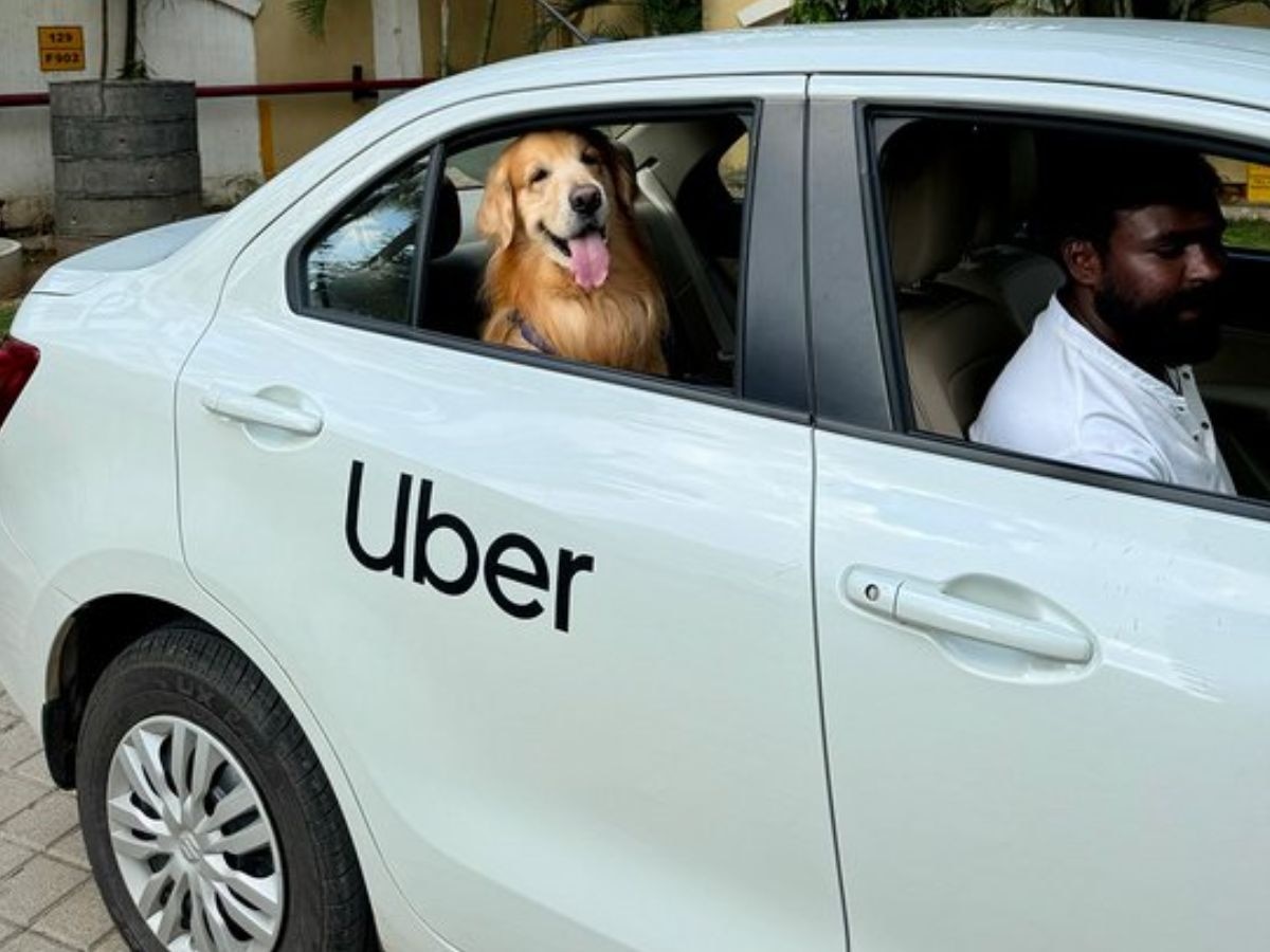 अब मुंह नहीं ताकेगा आपका कुत्ता, Uber ने शुरू की अपनी नई सर्विस, जानें फायदा