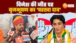 खुद तो जीत गईं लेकिन कांग्रेस का कर दिया सत्यानाश...., विनेश पर बृजभूषण सिंह का तंज