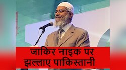 'इसे दोबारा कभी मत बुलाना', नाइक के बयानों से झल्लाए पाकिस्तानी, जमकर सुनाई खरी-खरी