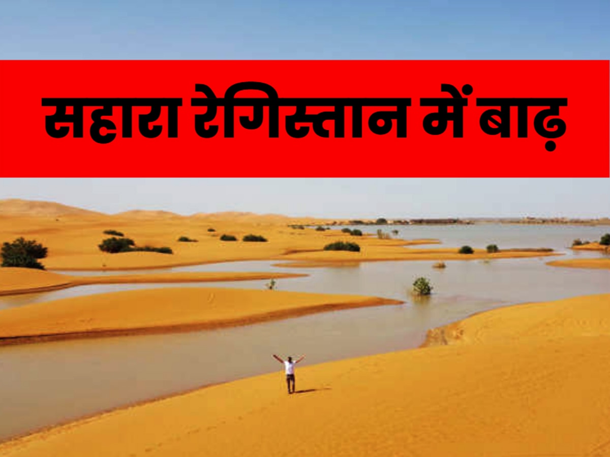 Sahara Desert Flood: कुदरत का करिश्मा! सहारा रेगिस्तान में बेहिसाब बारिश.. 50 साल से सूखी पड़ी झील में आ गई बाढ़