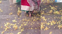 Isha Malviya ने किया 'Gangubai Kathiawadi' फिल्म के गाने पर किया गरबा, देखें वीडियो 