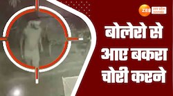 Jaunpur viral video: नए जमाने के चोर, बोलेरो में आये बकरा चोर