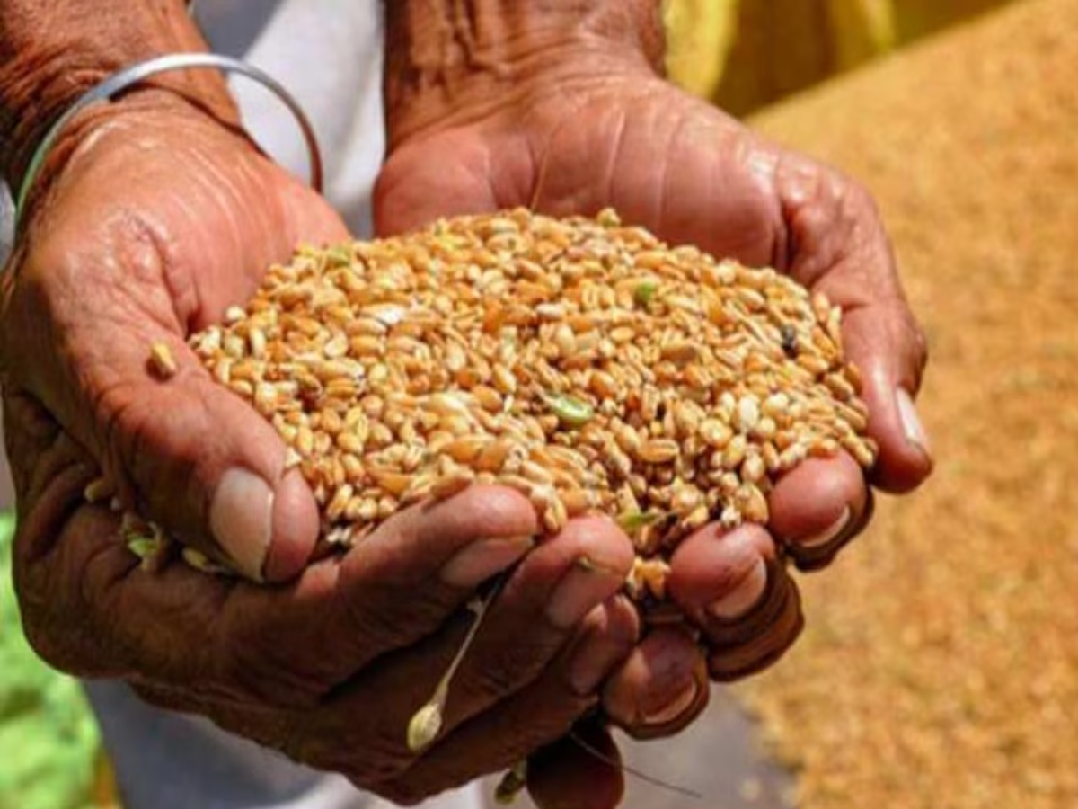 Free Ration Scheme: 2028 तक गरीबों को मिलता रहेगा फ्री राशन, कैबिनेट ने ...