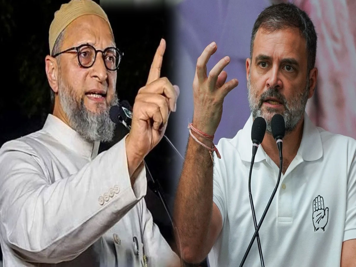 हरियाणा में नहीं उठा पाए मौके का फायदा... EVM... कांग्रेस पर भड़के हैदराबाद वाले भाईजान हरियाणा में नहीं उठा पाए मौके का फायदा... EVM... कांग्रेस पर भड़के हैदराबाद वाले भाईजान