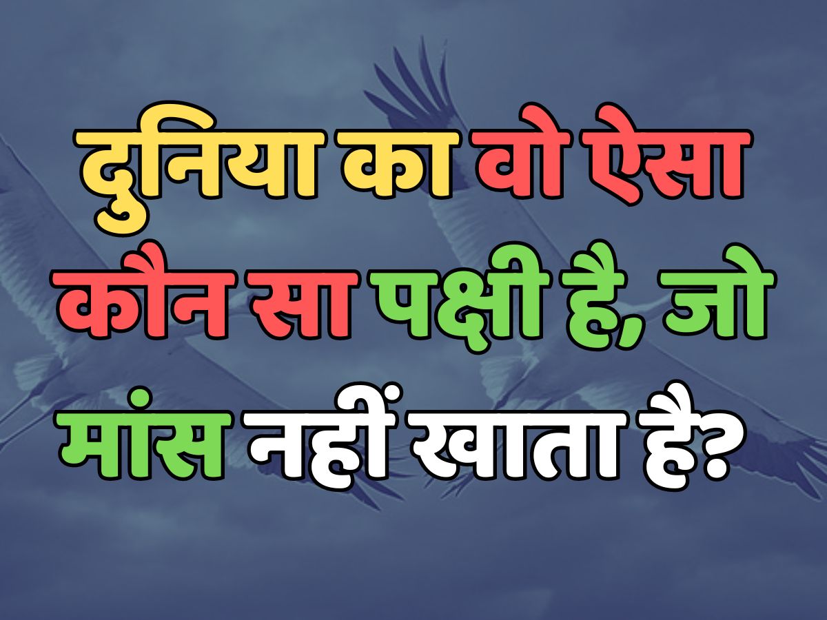 Trending Quiz : दुनिया का वो ऐसा कौन सा पक्षी है, जो मांस नहीं खाता है? 
