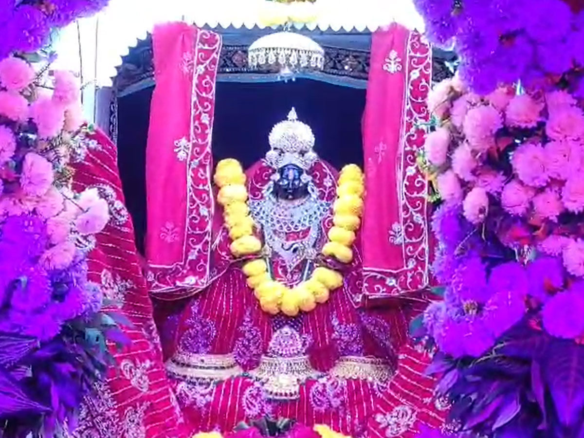 Beawar News: सोजत सिटी के मकान की खुदाई में निकली थी काली माता की मूर्ति, जानें इतिहास Beawar News: सोजत सिटी के मकान की खुदाई में निकली थी काली माता की मूर्ति, जानें इतिहास
