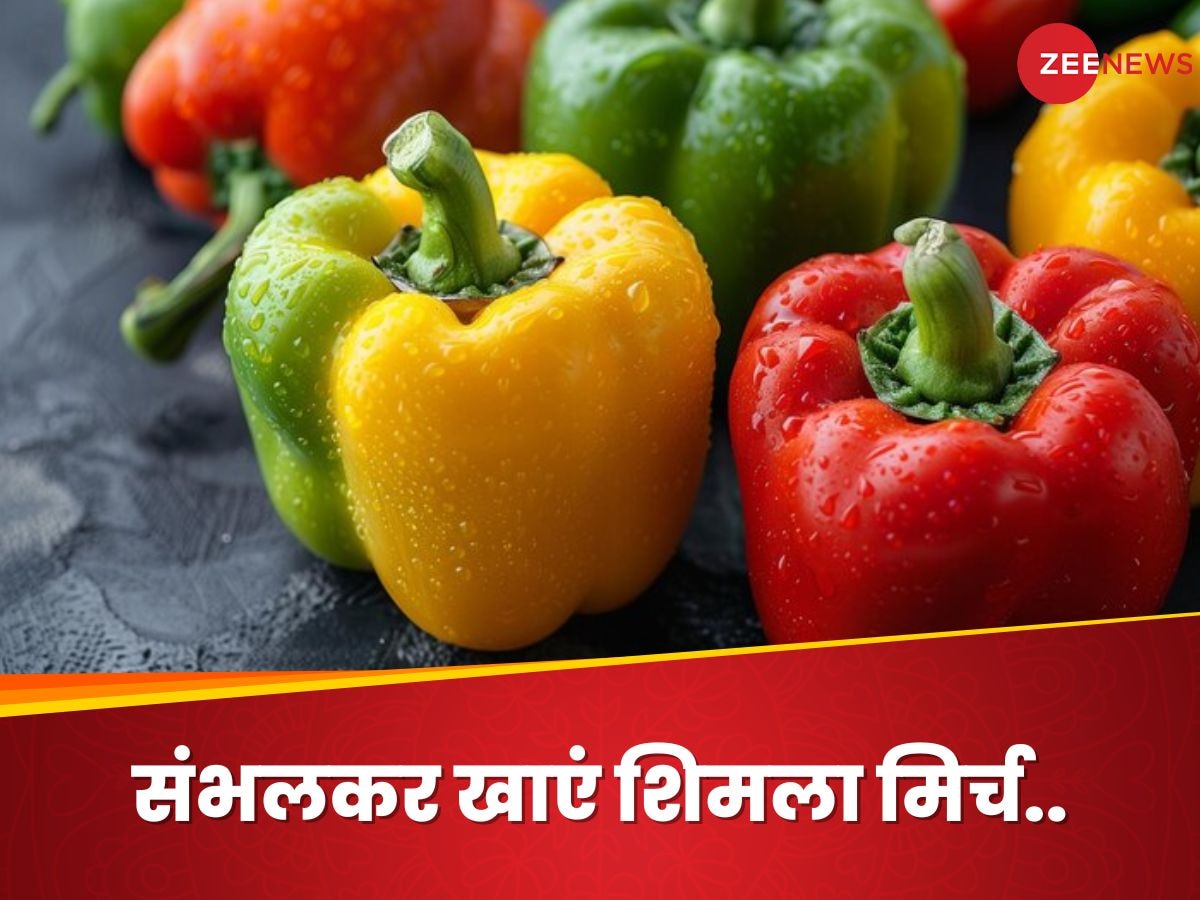 Capsaicin से भरपूर शिमला मिर्च जरा संभल कर खाएं, अधिक सेवन से सेहत को होंगे ऐसे नुकसान