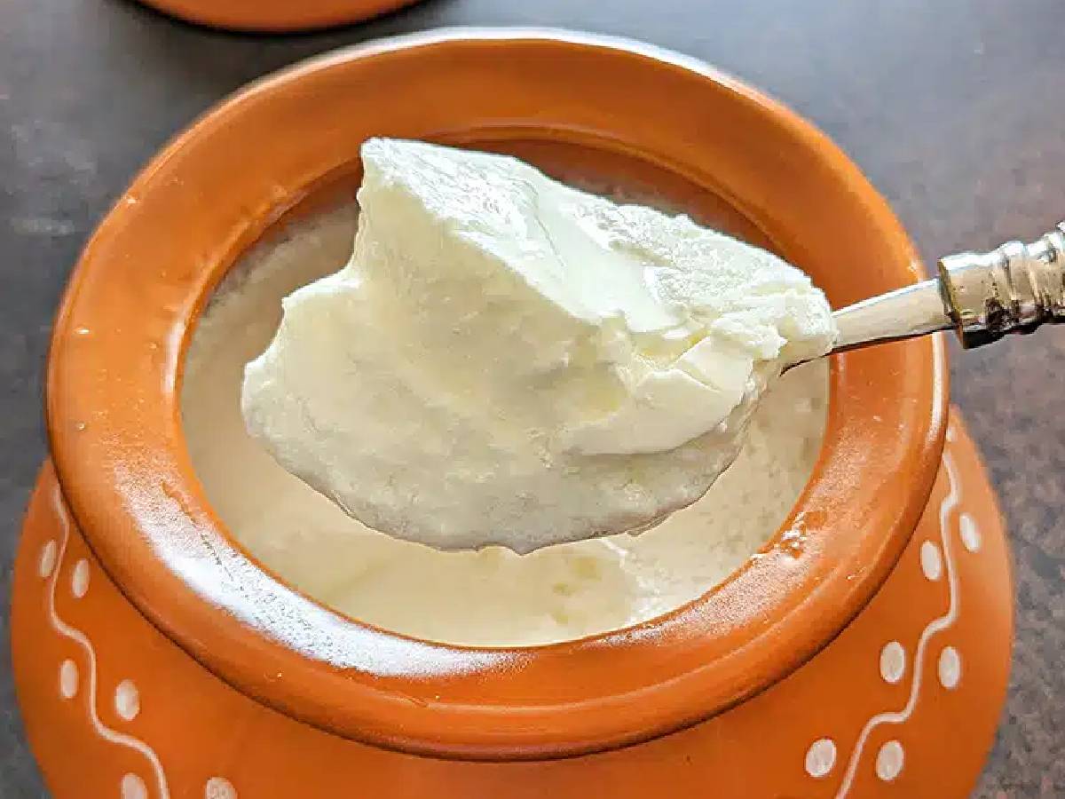 दही में चीनी या नमक? क्या डालकर खाना चाहिए- जानें सही जवाब