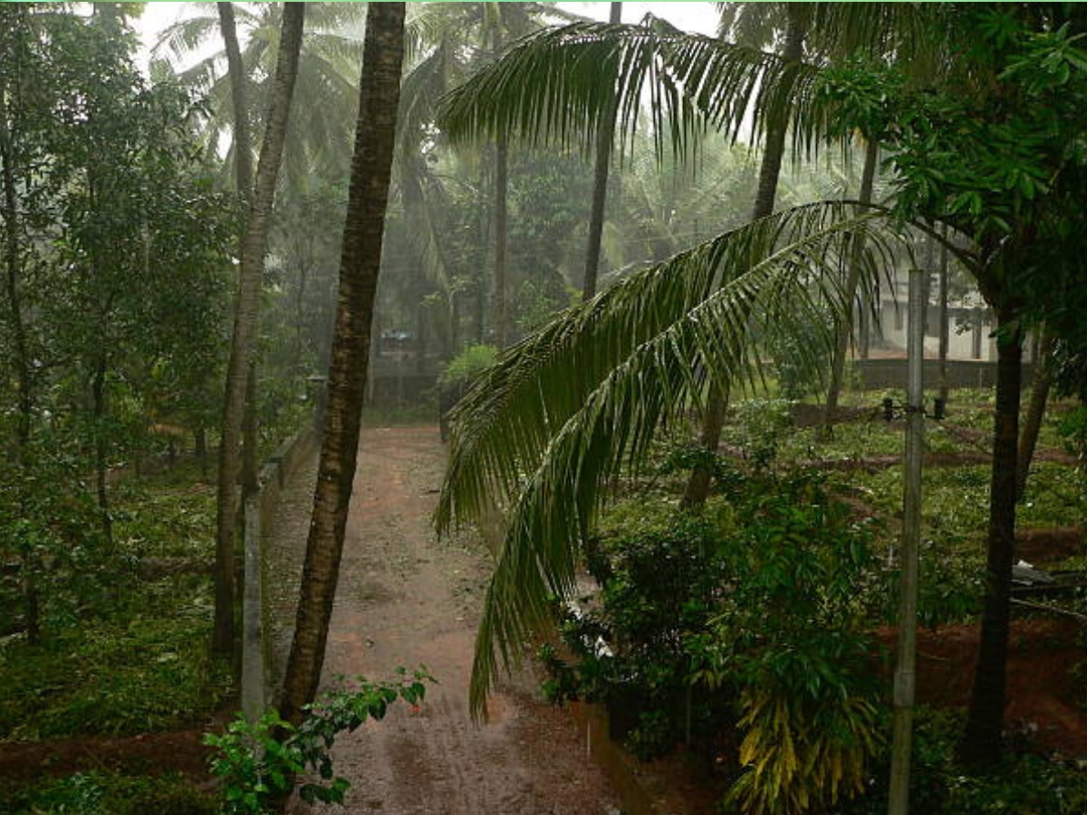 Weather Update: दिल्ली NCR में ठंड की शुरुआत, दक्षिण भारत में बारिश के आसार, जानें देशभर में कैसा रहेगा आज मौसम