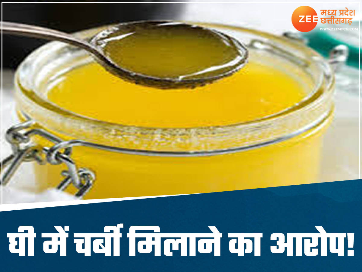 तिरुपति मंदिर में पशु चर्बी वाला घी का MP कनेक्शन, इस डेयरी कंपनी पर लगे गंभीर आरोप तिरुपति मंदिर में पशु चर्बी वाला घी का MP कनेक्शन, इस डेयरी कंपनी पर लगे गंभीर आरोप