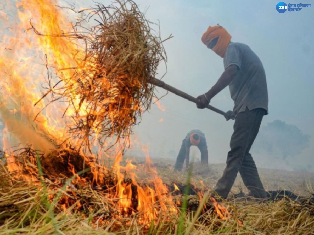 Stubble burning in Punjab: ਪੰਜਾਬ 'ਚ ਇੱਕ ਦਿਨ 'ਚ ਪਰਾਲੀ ਸਾੜਨ ਦੇ 162 ਮਾਮਲੇ, ਬਠਿੰਡਾ ਦਾ AQI ਹੋਇਆ 211