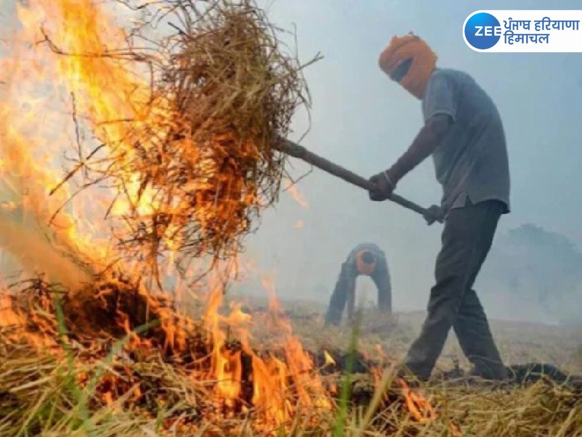 Stubble Burning: ਪੰਜਾਬ 'ਚ ਪਰਾਲੀ ਸਾੜਨ ਦੀਆਂ ਘਟਨਾਵਾਂ ਆਈਆਂ ਹਨ ਸਾਹਮਣੇ, ਜਾਣੋ ਤਾਜਾ ਆਂਕੜੇ