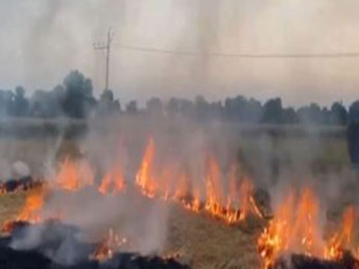 Stubble Burning: पंजाब के मुक्तसर जिले में पराली जलाने की घटना आई सामने, राज्य सरकार और जिला प्रशासन ने दिया निर्देश 