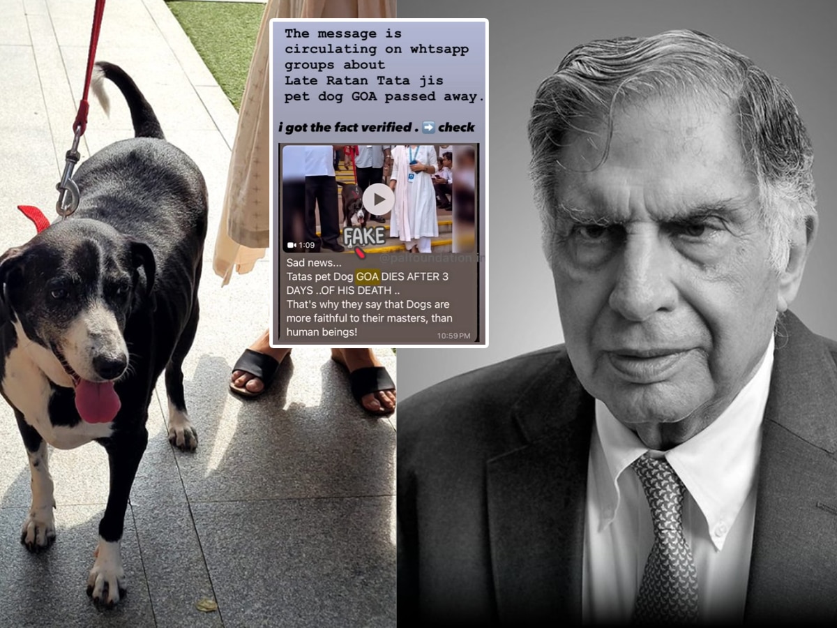 Ratan Tata के देहांत के 3 दिन बाद उनके पालतू कुत्ते की भी मौत! मुंबई पुलिस ने बताई हकीकत