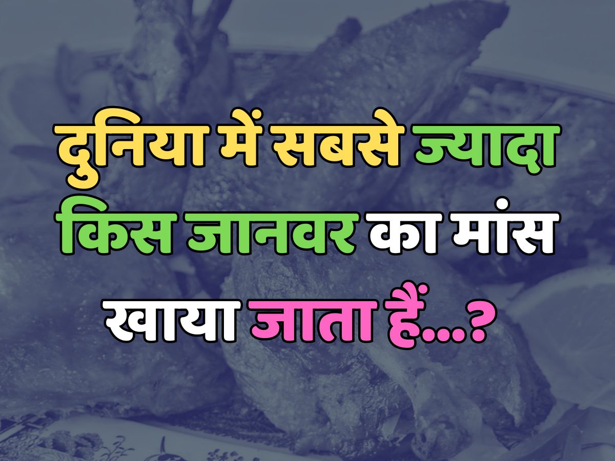 Trending Quiz :  क्या आप जानते हैं, दुनिया में सबसे ज्यादा किस जानवर का मांस खाया जाता हैं? 