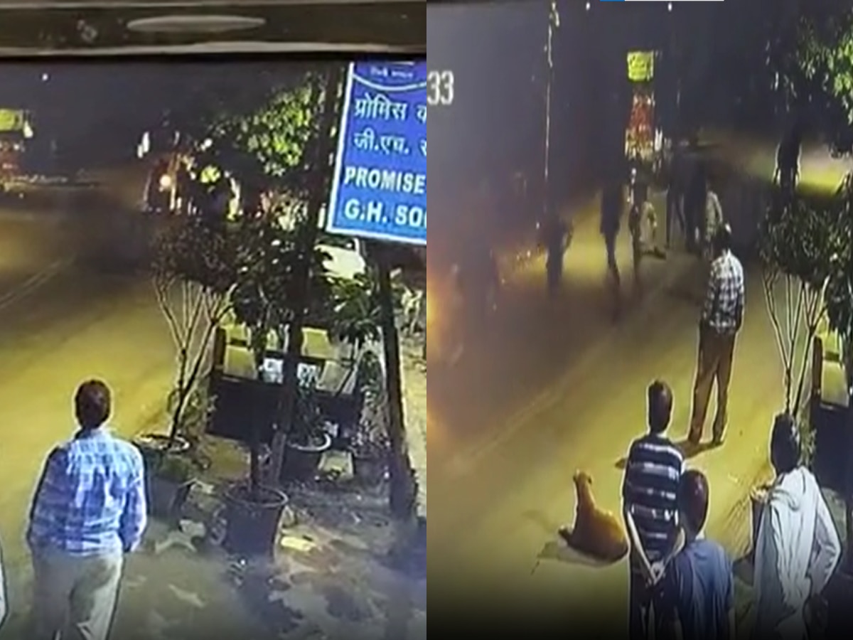 Delhi Crime: सरेआम युवक की पिटाई फिर चाकू गोदकर हत्या, CCTV में वारदात कैद