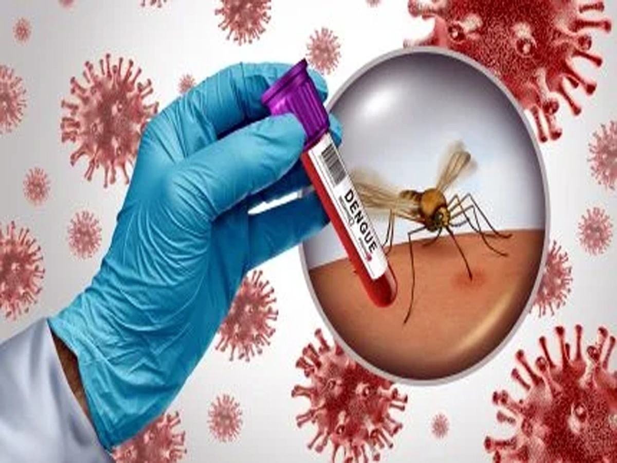 Dengue: डेंगू के लिए अब नहीं करना होगा गिलोय और प्लेटलेट का जुगाड़! भारत ने तैयार कर ली है वैक्सीन