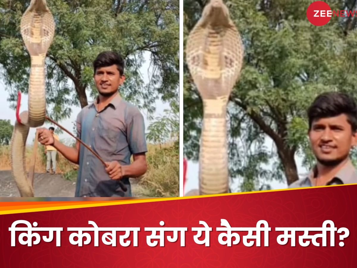 King Cobra को तालाब से निकालने के लिए शख्स ने लगाई जान की बाजी, आखिर में हुआ कुछ ऐसा