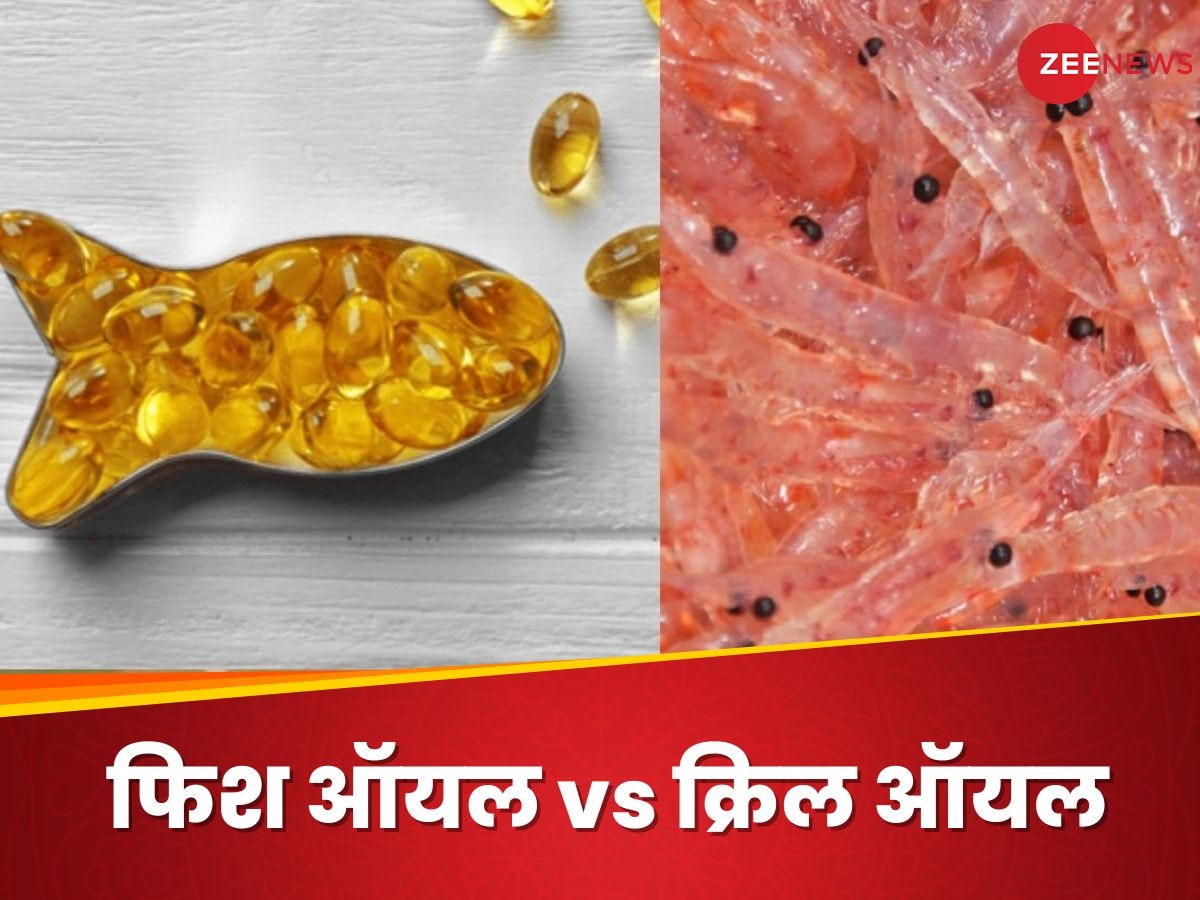 Fish Oil और Krill Oil में से कौन सै तेल है ज्यादा फायदेमंद, न्यूट्रिशनिस्ट से मिलेगा सही जवाब