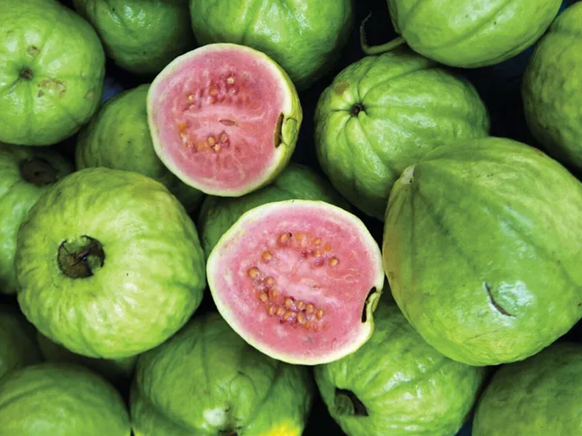 List Of Vitamin C Rich Foods To Boost Immunity Cough Cold and Fever