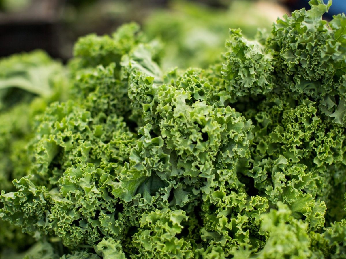 List Of Vitamin C Rich Foods To Boost Immunity Cough Cold and Fever