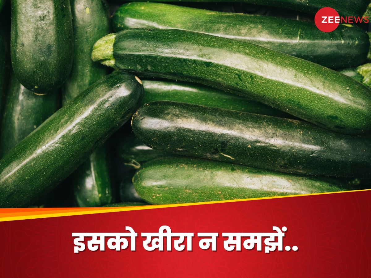 Zucchini: खीरे की तरह दिखने वाली इस सब्जी के फायदे कर देंगे हैरान, जानिए इसे क्यों खाएं