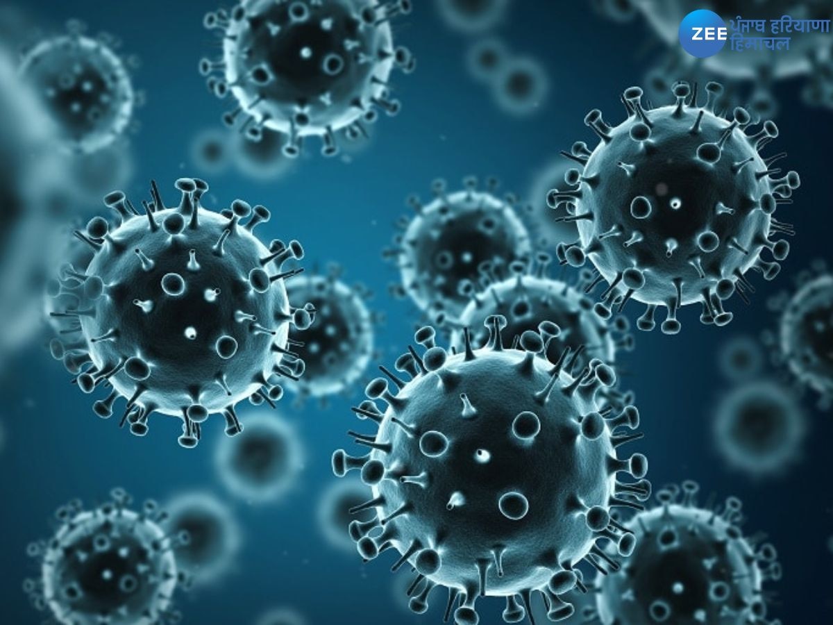 Influenza Virus: ਪੰਜਾਬ 'ਚ ਵੱਧ ਰਿਹਾ ਹੈ ਇਨਫਲੂਐਂਜ਼ਾ ਵਾਇਰਸ, ਜਾਣੋ ਇਸ ਤੋਂ ਕਿਵੇਂ ਬਚੀਏ, ਕੀ ਹਨ ਇਸ ਦੇ ਲੱਛਣ