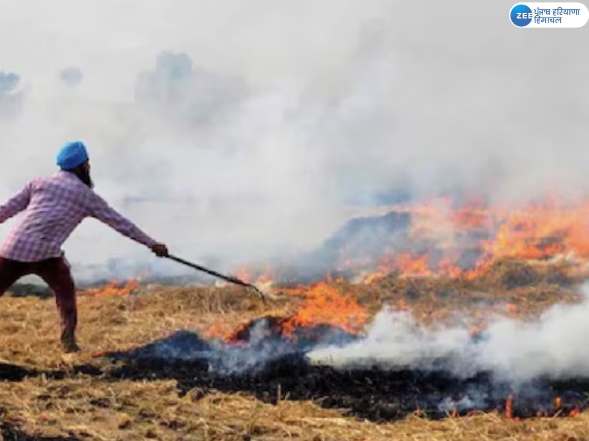 Punjab Stubble Burning: ਸੁਪਰੀਮ ਕੋਰਟ ਦੇ ਹੁਕਮਾਂ ਮਗਰੋਂ ਪੰਜਾਬ ਪੁਲਿਸ ਦੀ ਪਰਾਲੀ ਸਾੜਨ ਵਾਲੇ ਕਿਸਾਨਾਂ 'ਤੇ ਸਖ਼ਤੀ; 874 FIR ਤੇ 10.55 ਲੱਖ ਰੁਪਏ ਜੁਰਮਾਨਾ