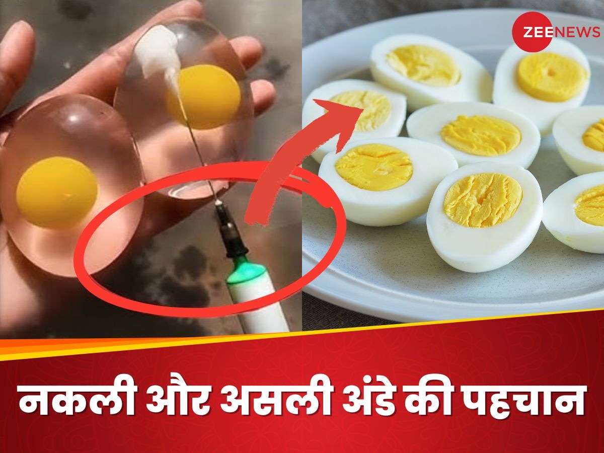 Fake Eggs vs Real Eggs: कहीं आप भी तो नहीं खा रहे प्लास्टिक वाला अंडा? इस तरह असली और नकली अंडे का पता लगाएं 