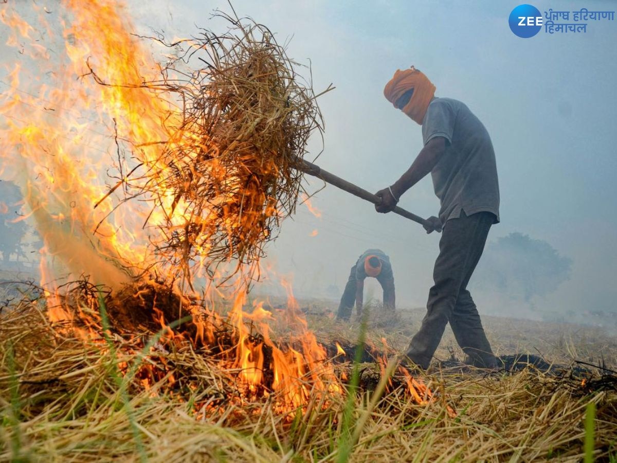 Punjab Stubble Burning: ਪੰਜਾਬ 'ਚ ਵੱਧ ਰਹੇ ਹਨ ਪਰਾਲੀ ਸਾੜਨ ਦੇ ਕੇਸ, ਫਸਲਾਂ ਦੀ ਰਹਿੰਦ-ਖੂੰਹਦ ਸਾੜਨ ਵਾਲੇ ਕਿਸਾਨਾਂ ਖ਼ਿਲਾਫ਼ ਸਖ਼ਤੀ