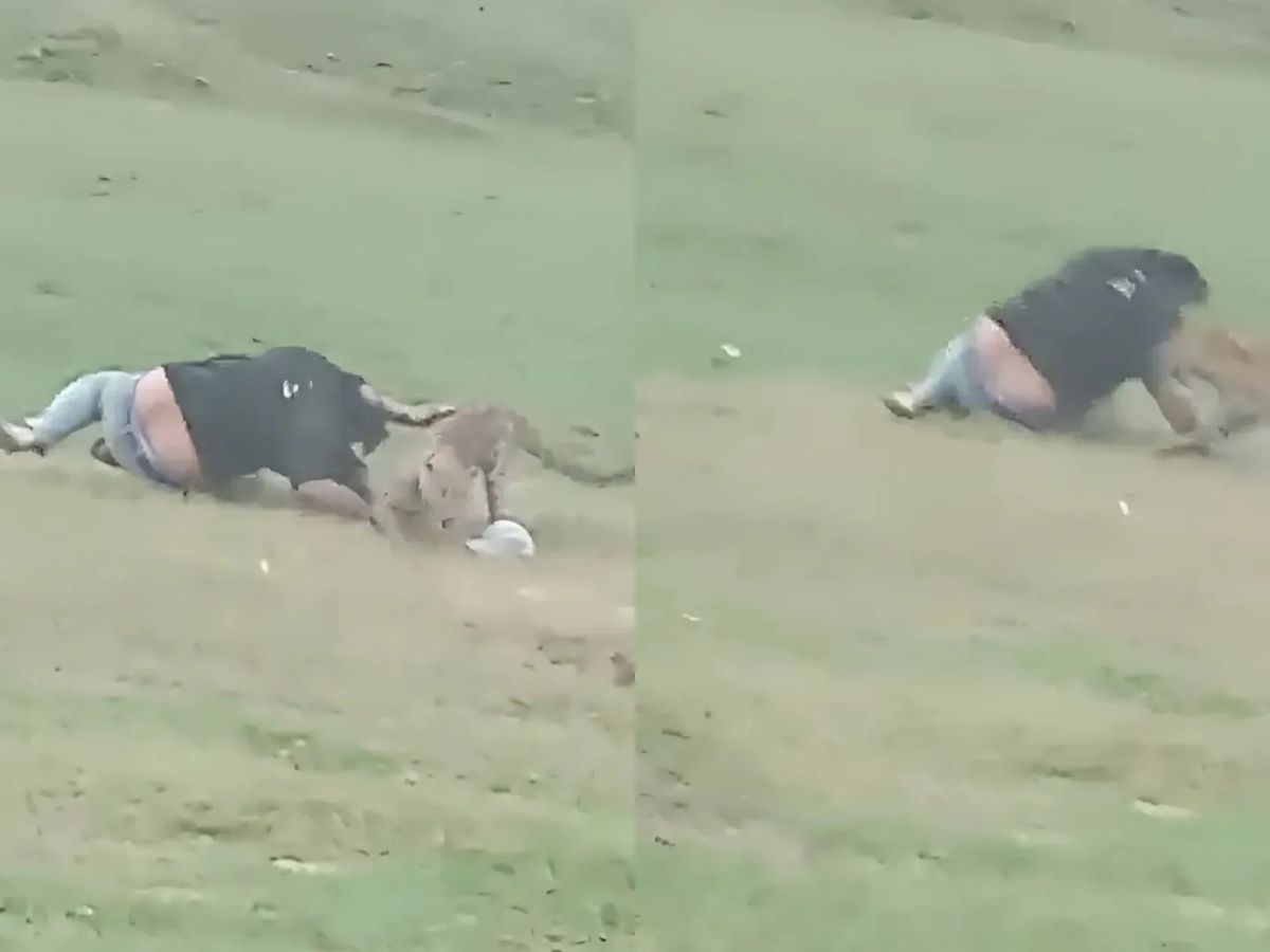 VIDEO: मौज मस्ती कर रहे युवकों ने लिया तेंदुए से पंगा, चिल्लाए- 'आजा-आजा', और फिर वो आ गया...तीन को दबोचा