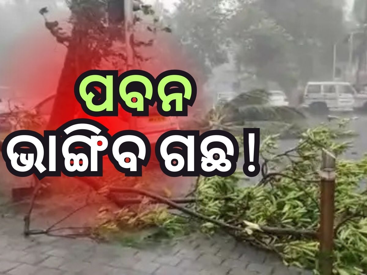 ସମ୍ଭାବ୍ୟ ବାତ୍ୟା ଦାନା ପ୍ରଭାବ, କେତେ ବେଗରେ ହେବ ପବନ ? ପାଣିପାଗ ବିଭାଗ ଦେଲା ତଥ୍ୟ... ସମ୍ଭାବ୍ୟ ବାତ୍ୟା ଦାନା ପ୍ରଭାବ, କେତେ ବେଗରେ ହେବ ପବନ ? ପାଣିପାଗ ବିଭାଗ ଦେଲା ତଥ୍ୟ...