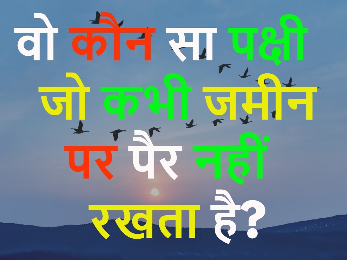 GK Quiz: वो कौन सा पक्षी जो कभी जमीन पर पैर नहीं रखता है?