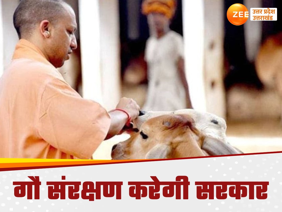 cm yogi