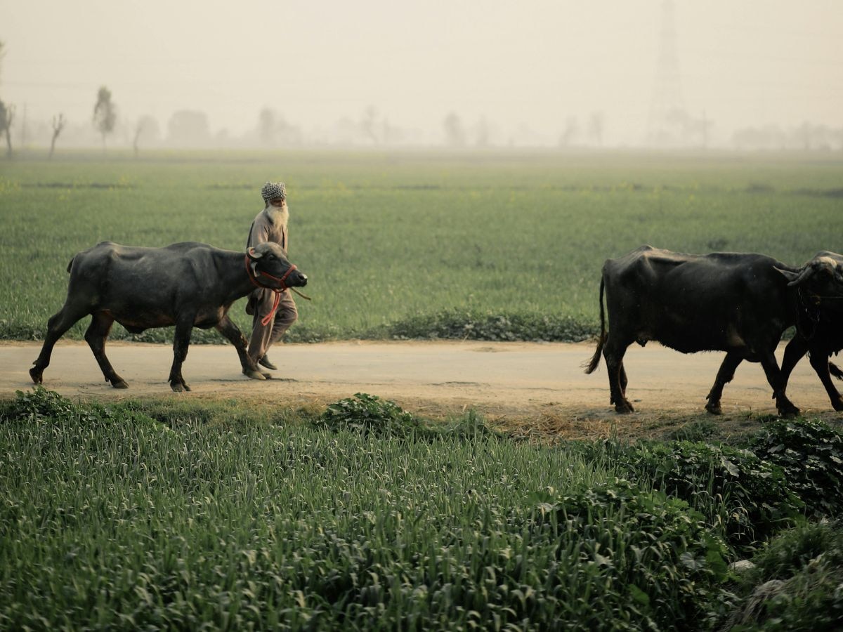 बिहार भूमि रजिस्ट्री