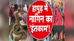 नागिन की आंख में छप गई फोटो? चुन-चुनकर ले रही बदला! इस शहर में सांपों का 'बदलापुर'