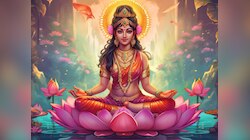 शुक्रवार को पूरी हो सकती है हर मनोकामना! बस मां लक्ष्मी को अर्पित करें ये एक चीज