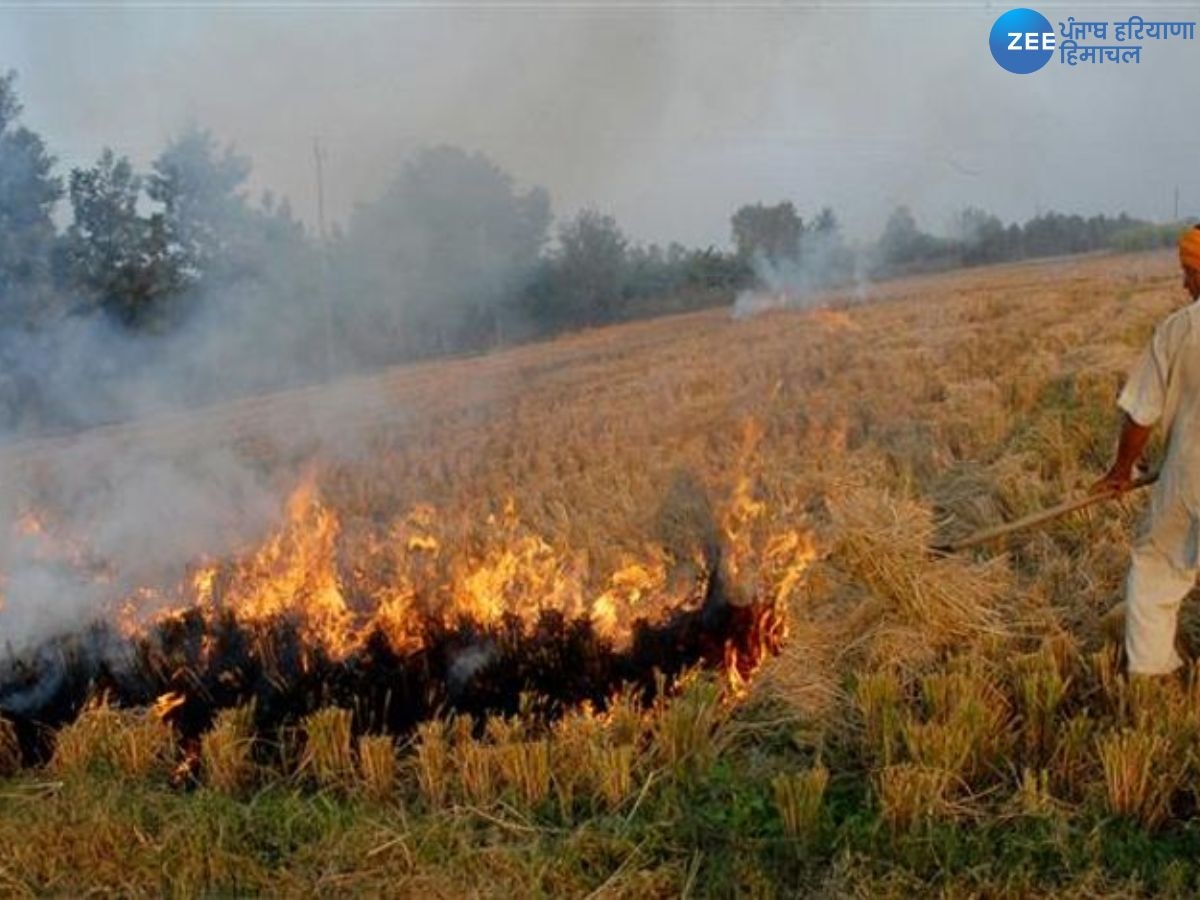 Punjab Stubble Burning Case: ਪੰਜਾਬ 'ਚ ਹਰਿਆਣਾ ਦੇ ਮੁਕਾਬਲੇ ਪਰਾਲੀ ਸਾੜਨ ਦੇ ਮਾਮਲਿਆਂ 'ਚ ਵੱਡੀ ਗਿਰਾਵਟ ਦਰਜ