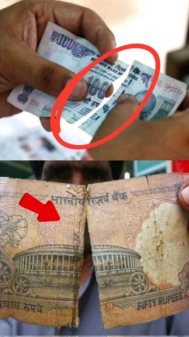 Get New Note For free in Exchange of your damaged note in any bank RBI ...
