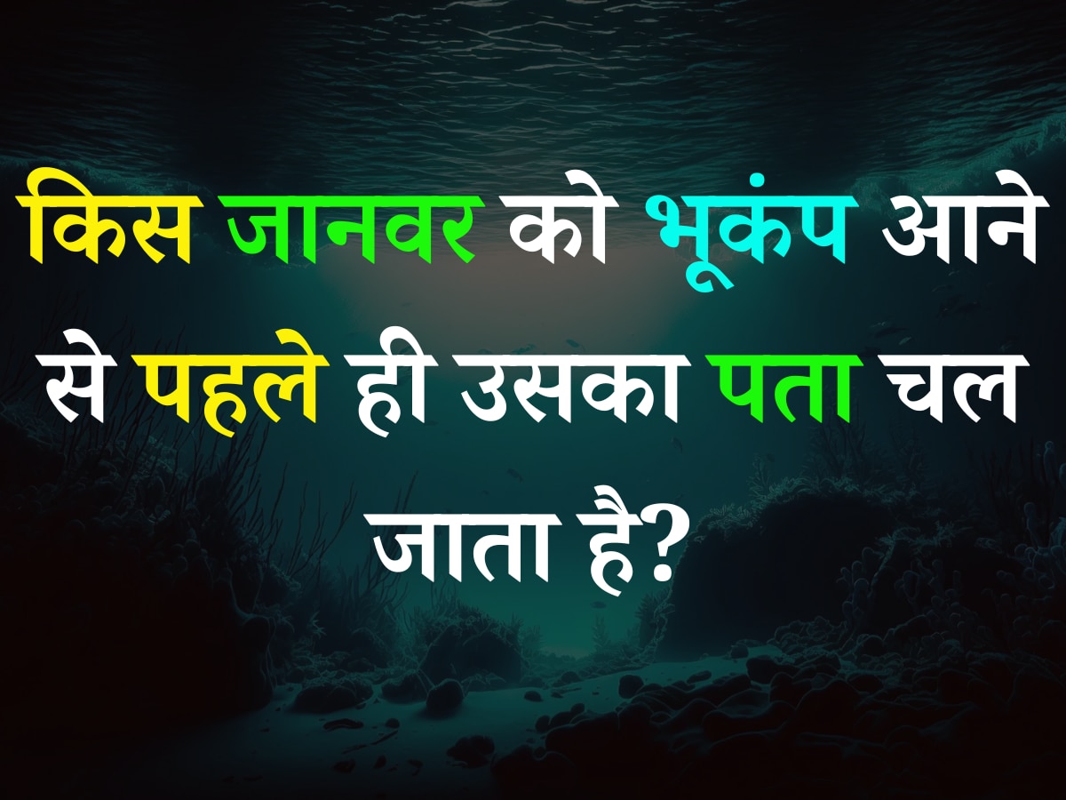 Quiz: किस जानवर को भूकंप आने से पहले ही उसका पता चल जाता है?