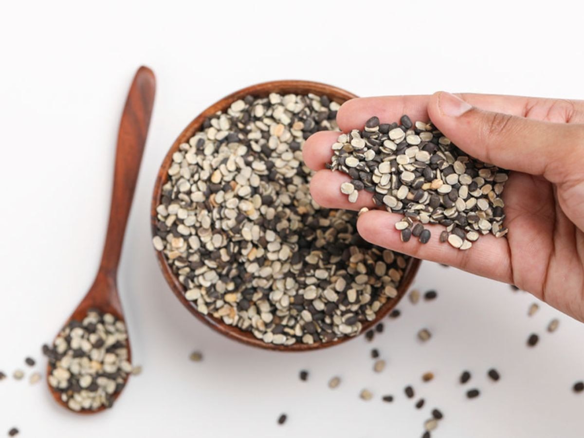 Urad Dal Benefits: सेहत के लिए अमृत समान है उड़द की दाल, नॉनवेज से ज्यादा मिलती है ताकत