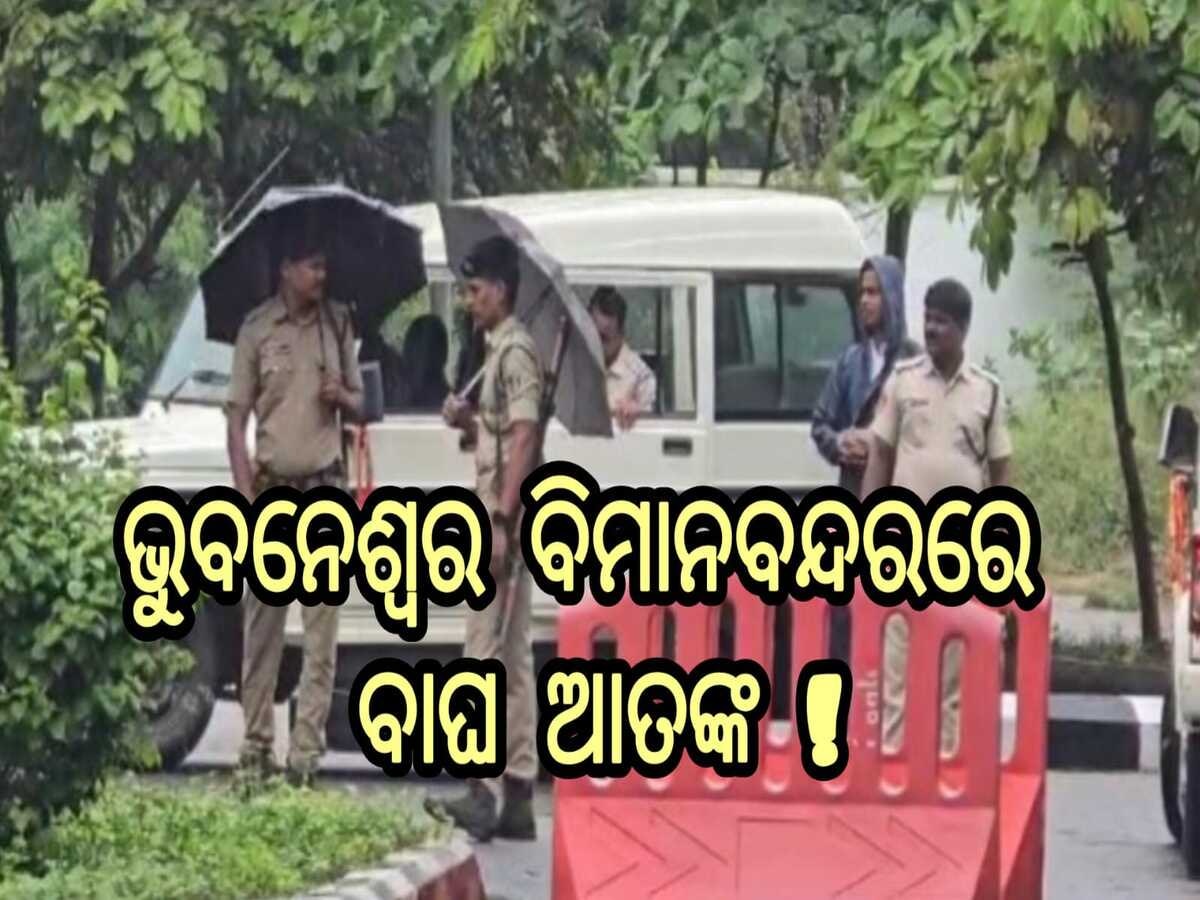 ଭୁବନେଶ୍ୱର ବିମାନବନ୍ଦର ନିକଟରେ ବାଘ ଆତଙ୍କ, ଲୋକେ ଭୟଭୀତ