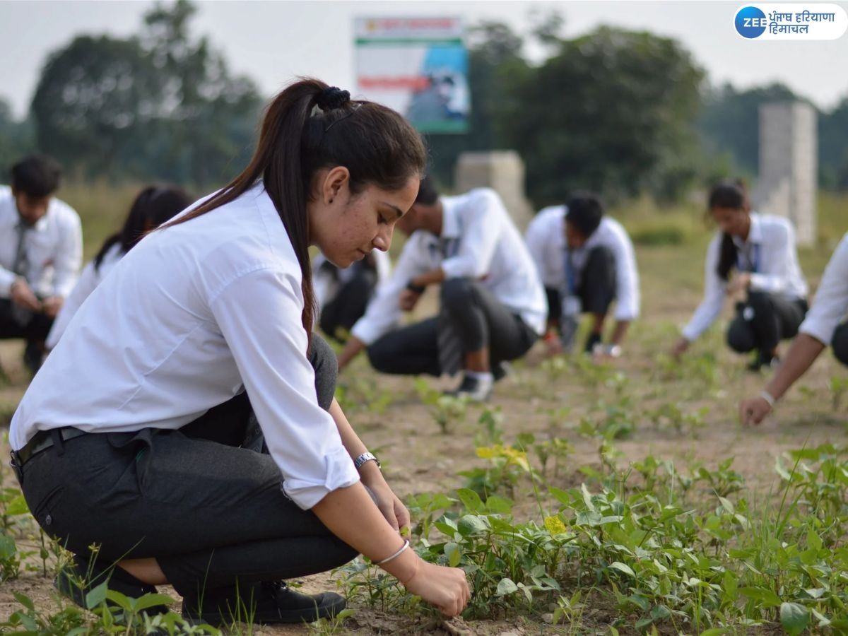  NSCL Recruitment 2024: ਰਾਸ਼ਟਰੀ ਬੀਜ ਕਾਰਪੋਰੇਸ਼ਨ ਨੇ 188 ਅਸਾਮੀਆਂ ਲਈ ਮੰਗੀਆਂ ਅਰਜ਼ੀਆਂ